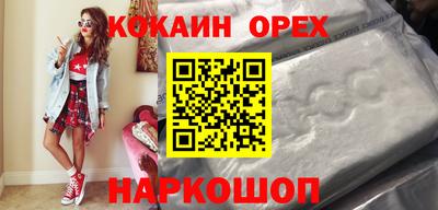 бошки Кингисепп