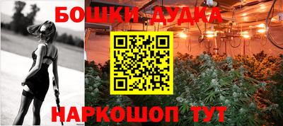 бошки Кингисепп